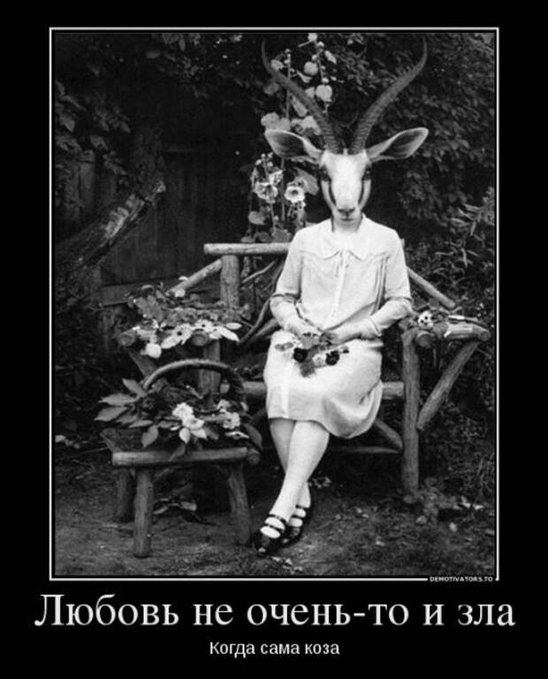 Рогатая жена смешные картинки
