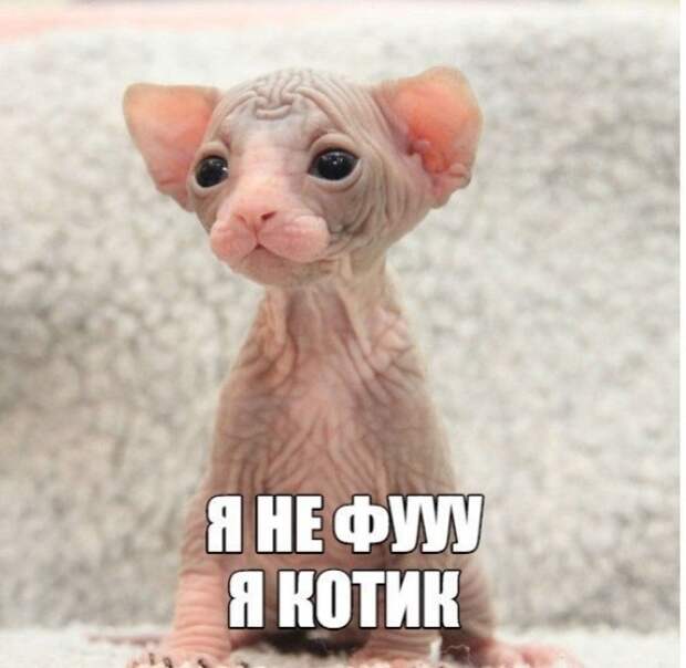 Подборка доброго юмора подборка, прикол, шутка, юмор
