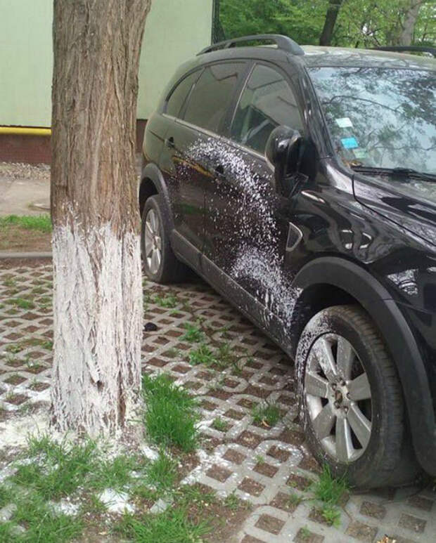Немного запачкалась.