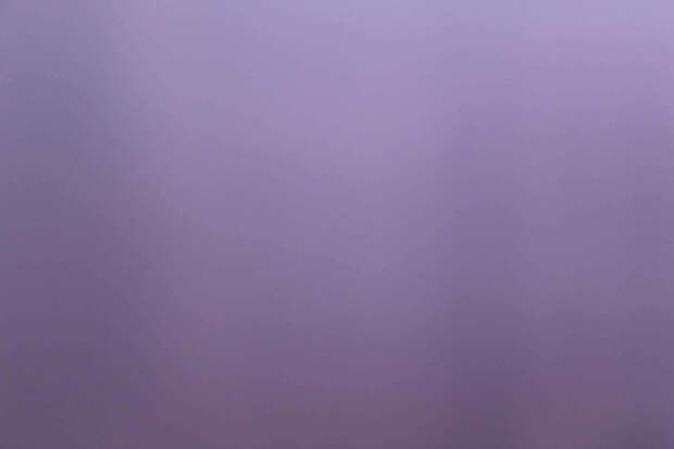 Она приводила, а миграционная служба регистрировала?