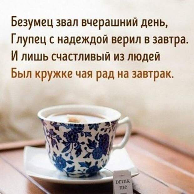 Прикольные картинки вторника (22 картинки)