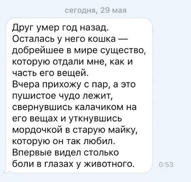 Останемся назад