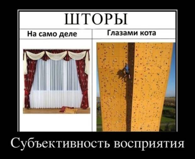 www.vsyako.net