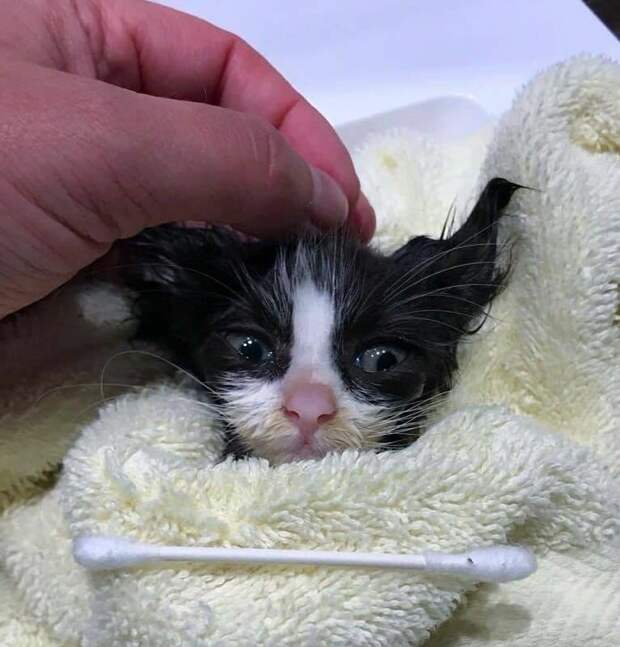 https://s.mediasole.ru/cache/content/data/images/1329/1329602/original.jpg