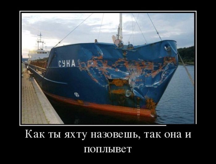 Демотиваторы (30 фото)