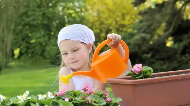 Как выбрать кашпо с автополивом