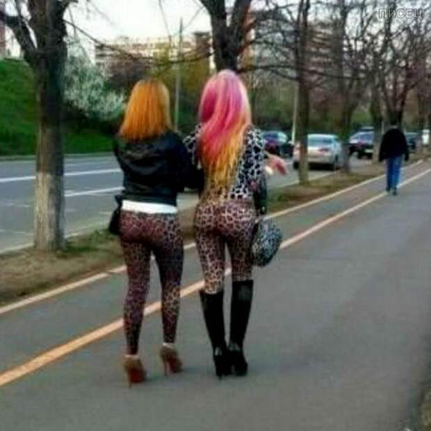 Самки вышли на охоту