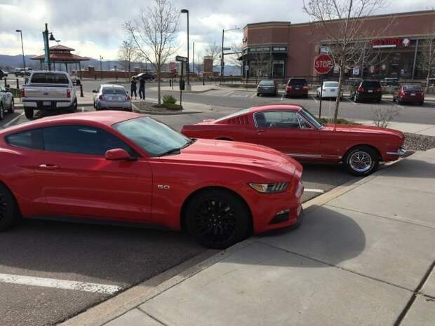 Встреча поколений. Ford Mustang 1-го и последнего поколений. жизнь, интересные, фото
