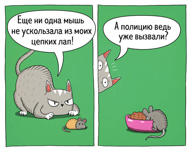 14 комиксов о том, что коты — самые противоречивые создания на планете