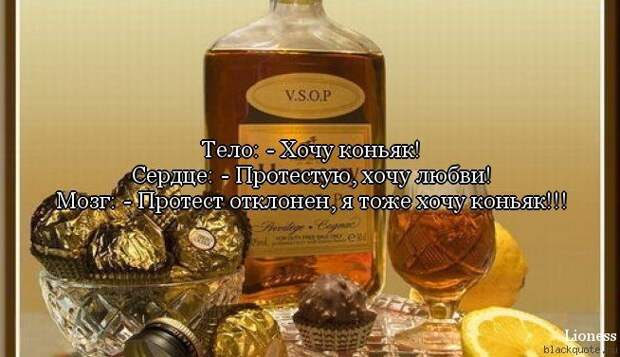 ПРИКОЛЬНЫЕ ВЫРАЖЕНИЯ И ФРАЗЫ ПРИКОЛЬНЫЕ ВЫРАЖЕНИЯ И ФРАЗЫ