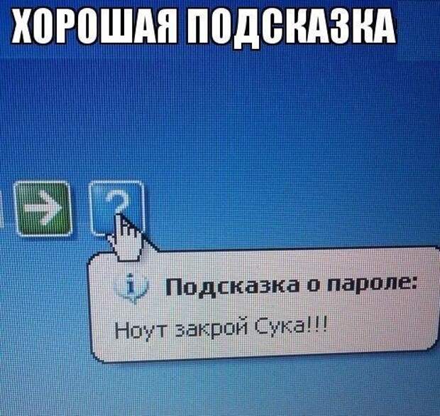 V6TYqxCFX2s