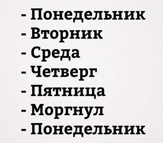 Анекдоты в понедельник утром (11 шт)