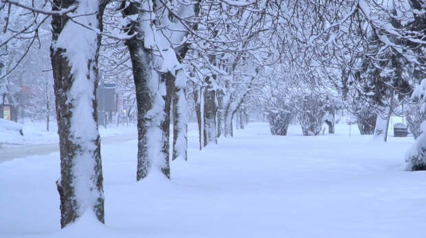 Снегопад в Краснодаре 22-24 января 2022: город утонул в снегу, а мэр назвал это "экстремальным"