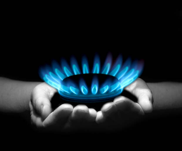 Какая духовка лучше: газовая или электрическая