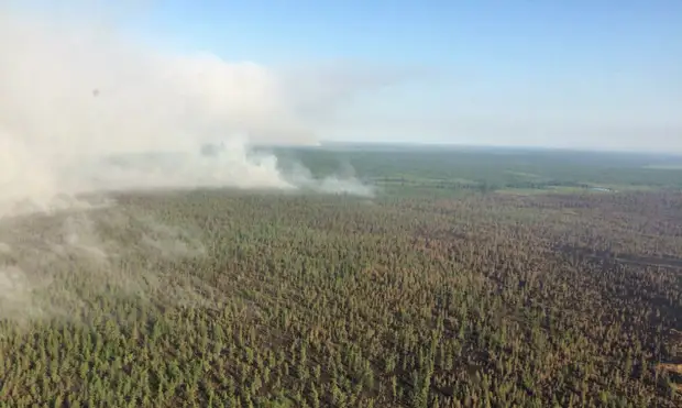 Ученые считают, что дым от пожаров разрушает озоновый слой
