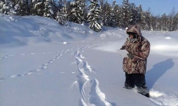 В Архангельской области подвели итоги зимнего учета охотничьих ресурсов