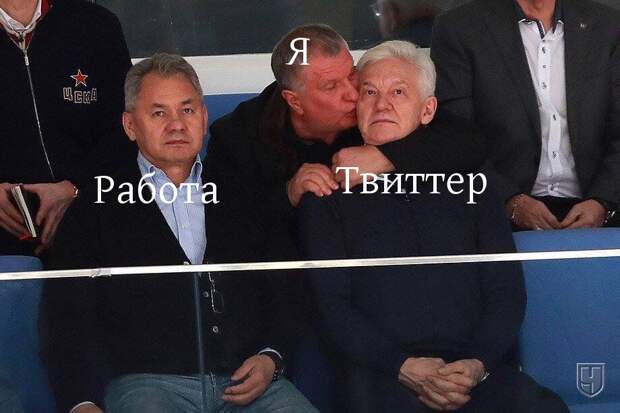 Сечин целует Тимченко, Шойгу грустит. Новое вирусное фото