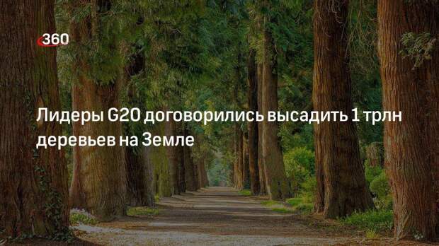 Лидеры G20 договорились высадить 1 трлн деревьев на Земле