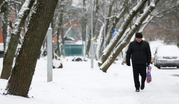 Облачная погода и до 5 градусов тепла ожидаются в Москве 11 декабря