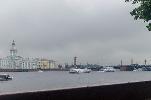 Юбилей винтовки Мосина