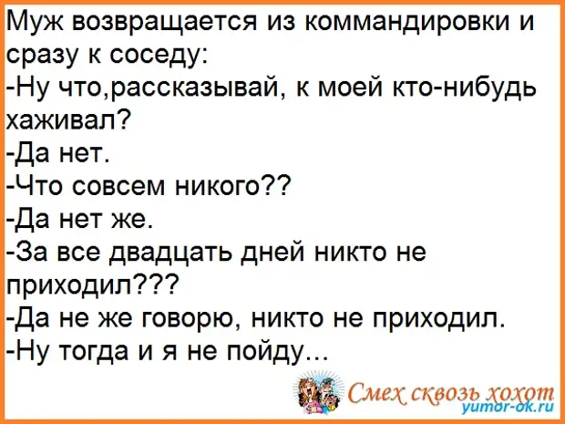 Жену на вахте рассказ. Возвращается муж из командировки анекдот. Муж в командировке приколы. Муж возвращается из командировки. Муж приехал из командировки.