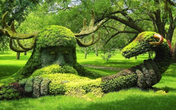 Топиар - зеленое искусство фигурной стрижки. (40 фото)
