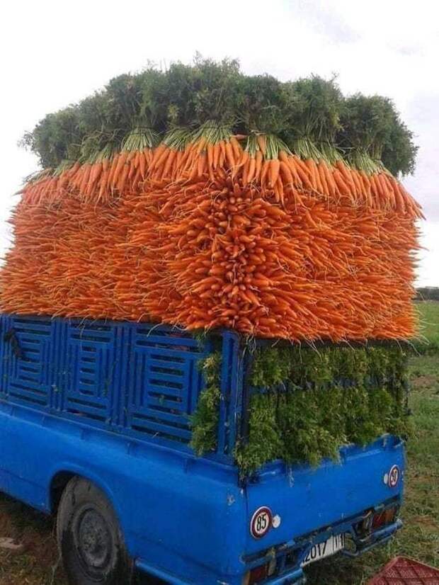 Красиво и практично