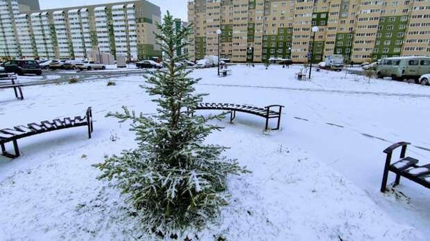 Елка в Барнауле во дворе дома / Фото: amic.ru