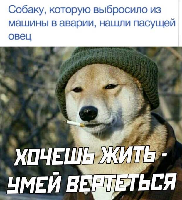 Смешные картинки вечер 11 июня