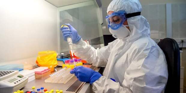 В Москве провели более 20 миллионов ПЦР-тестов на коронавирус. Фото: Д. Гришкин mos.ru