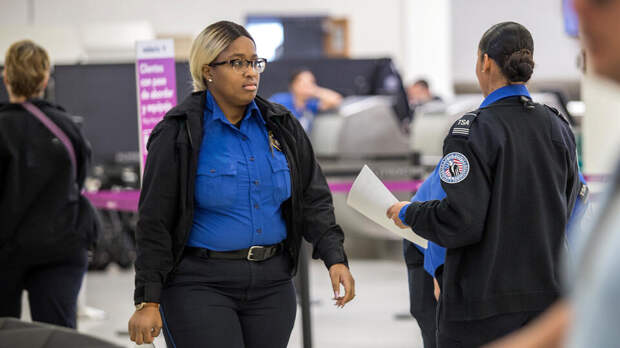 Две порноактрисы-тиктокерши устроили пьяный дебош в самолете