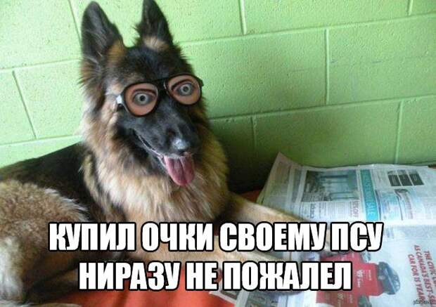 Веселые картинки с надписями для веселья (11 фото) Веселые картинки с надписями для веселья (11 фото)