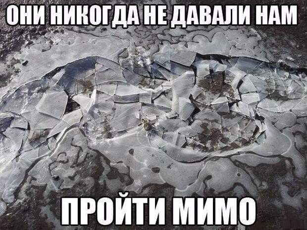Смешные картинки с надписями прикол, юмор