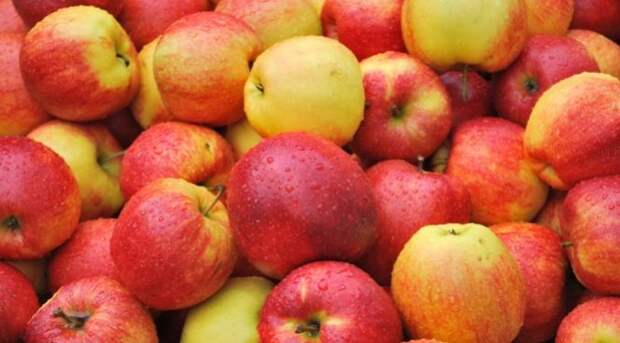 яблоки помогают от 6 видов рака