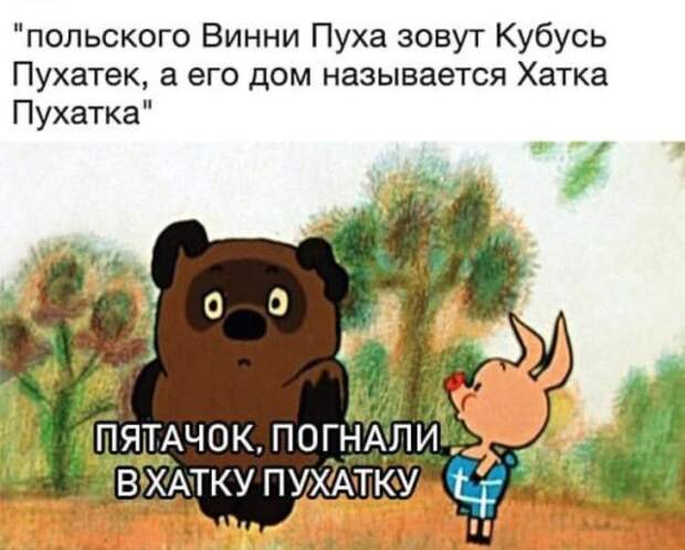 Подборка картинок. Вечерний выпуск (24 фото)