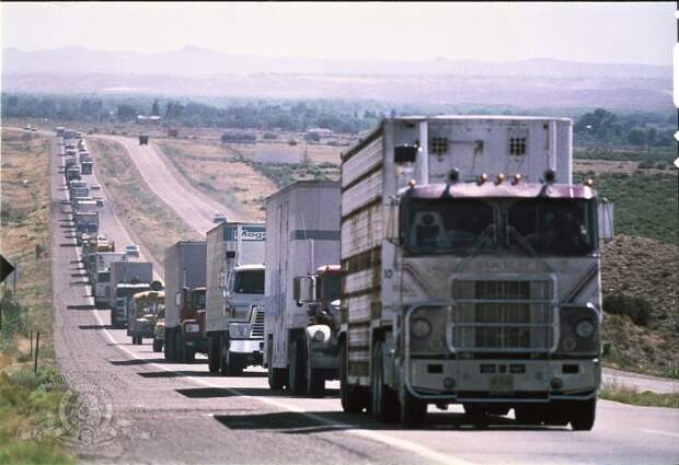 История одного "Конвоя" авто, грузовик, дальнобойщик, кино, конвой, конвой 1978, факты, фильм