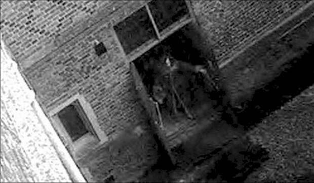1. Призрак во дворце Хэмптон-корт паранормальное, привидения, призраки