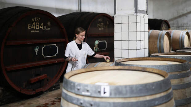 Российские виноделы впервые взяли главный приз на конкурсе «Терравино» в Израиле