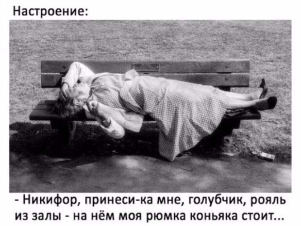 51e74f8585ea.jpg