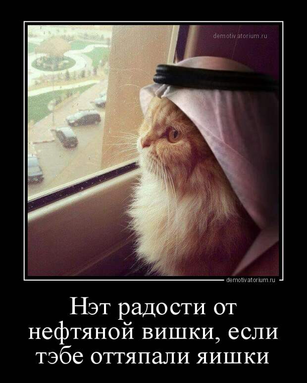 Похожее изображение