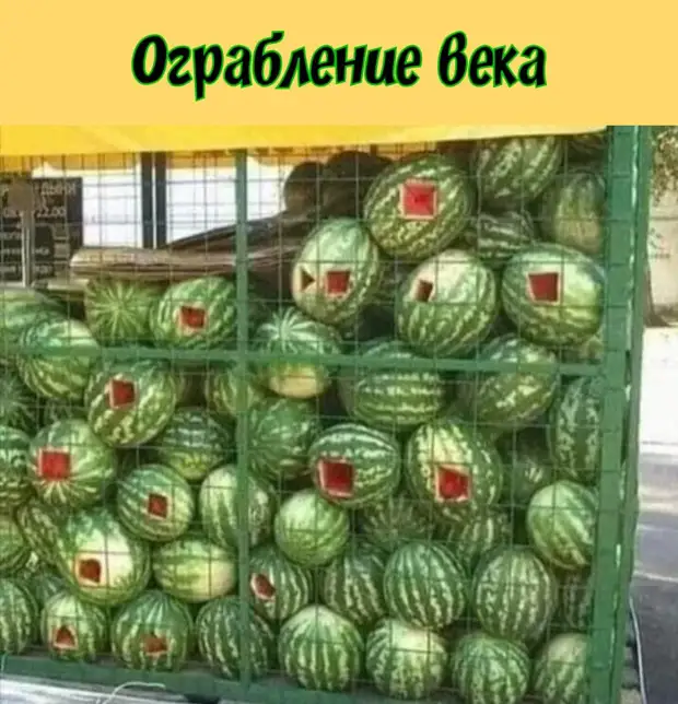   .  ...
