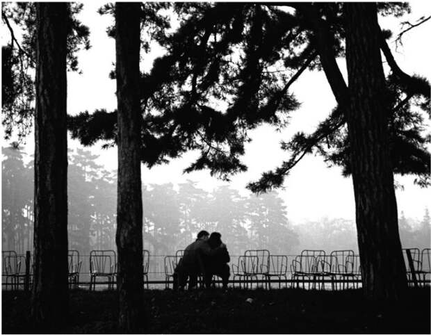 Буа-де-Булонь, Париж, 1952 год. Автор: Sabine Weiss.