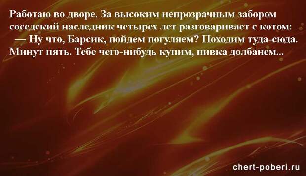 Самые смешные анекдоты ежедневная подборка chert-poberi-anekdoty-chert-poberi-anekdoty-43580311082020-12 картинка chert-poberi-anekdoty-43580311082020-12