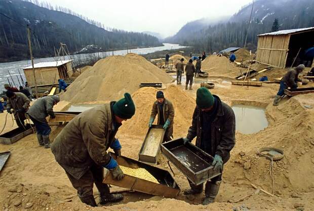 Таракановский намерен выступить против запрета россыпной добычи золота в России