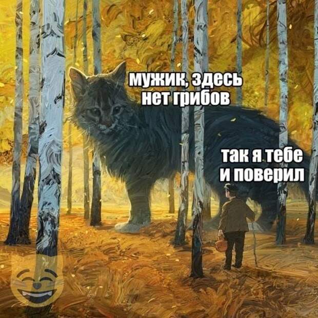 На изображении может находиться: текст «мужик, здесь нет грибов так я тебе и поверил»