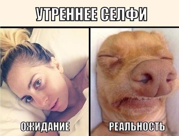 YOukBTO04S8