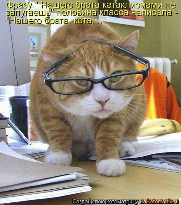 Уфф!!! Ну наконец-то! Котоматрицы великолепные, каждая с улыбкой и хорошим настроением!