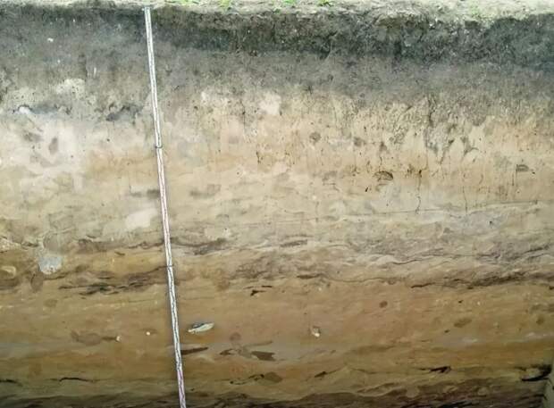 В Калужской области установили охранные границы участка культурного слоя XVIII–XX веков