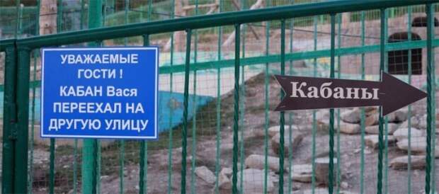 Добро пожаловать в зоопарк!