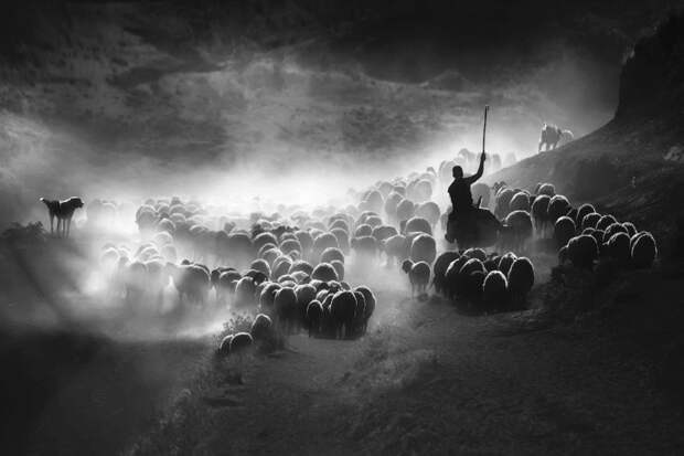 Блог - 24 потрясающих фото, выигравших национальную премию Sony World Photography Awards 24 потрясающих фото, выигравших национальную премию Sony World Photography Awards